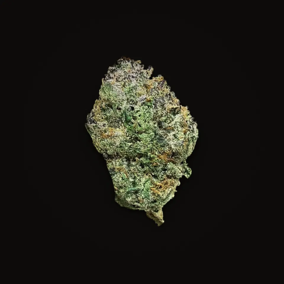 Archive Runtz THC flower (hemp THCA), indoor, spotlit on black