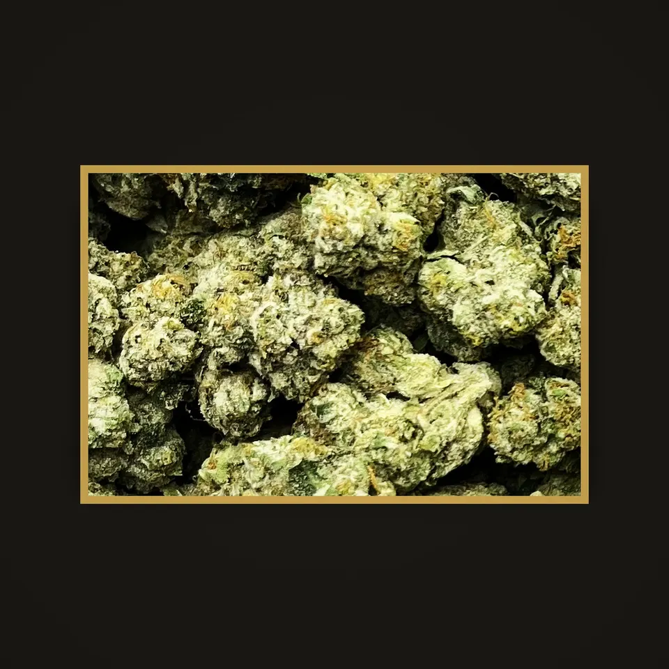 Cream Smoothie THC flower (hemp THCA), indoor, framed in brass