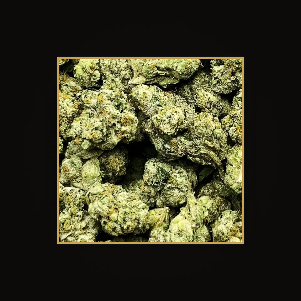 Cream Smoothie THC flower (hemp THCA), indoor, spotlit on black