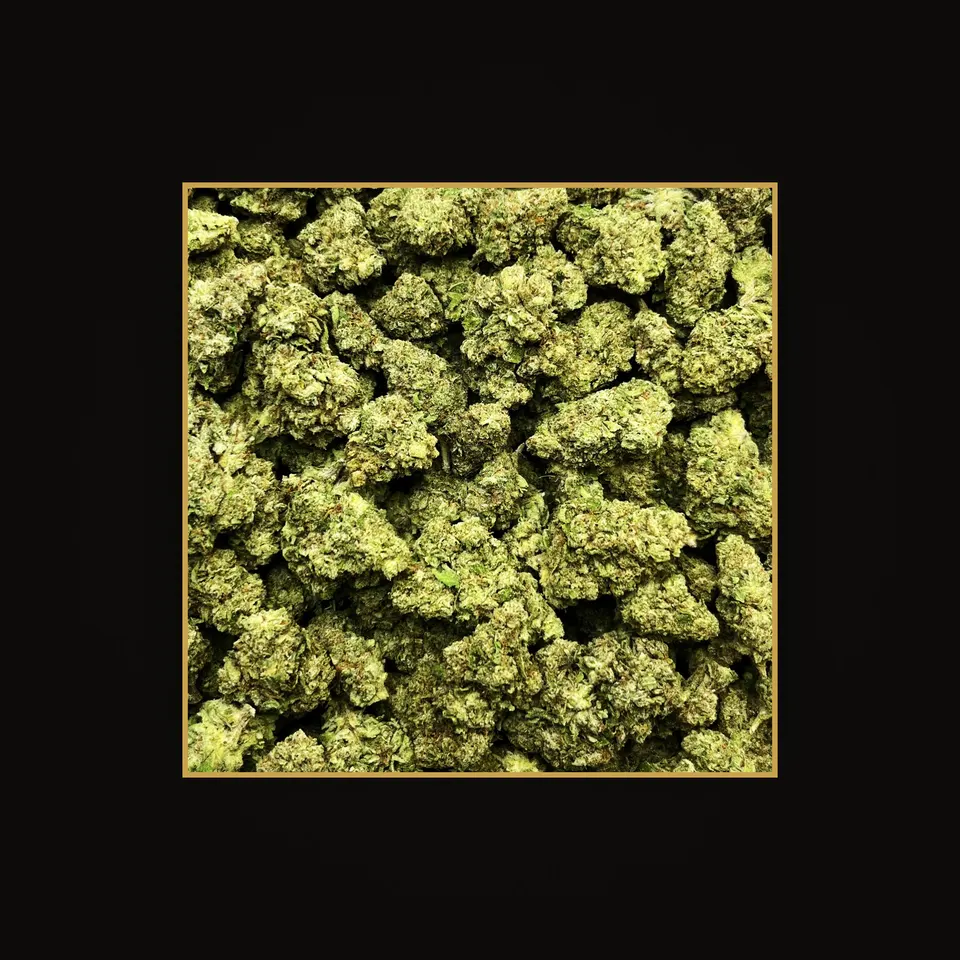 Lemon Kush THC flower (hemp THCA), indoor, spotlit on black