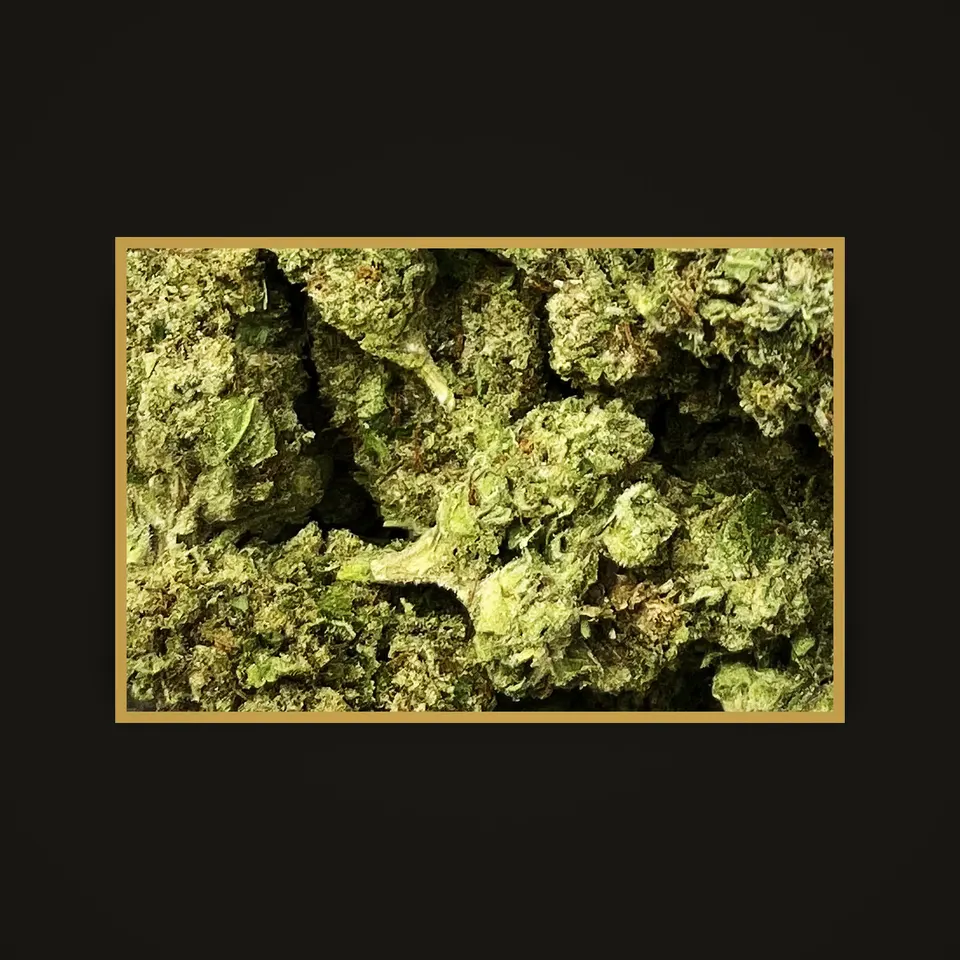 Lemon Kush THC flower (hemp THCA), indoor, framed in brass