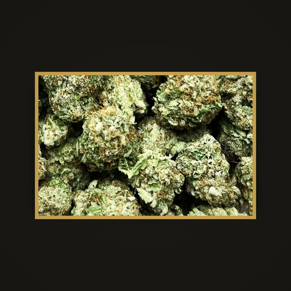 Lemon Mintz THC flower (hemp THCA), indoor, framed in brass