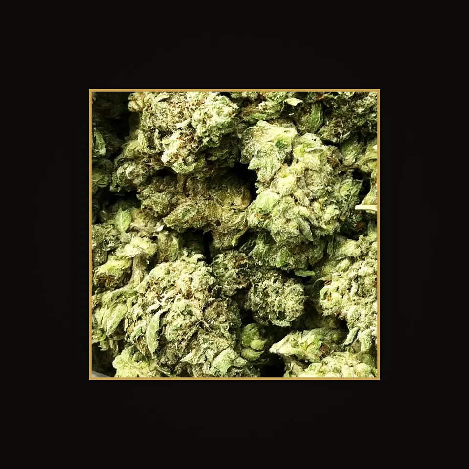 Original Glue THC flower (hemp THCA), indoor, spotlit on black