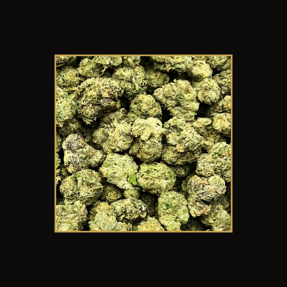 Pheno Hunt THC flower (hemp THCA), indoor, spotlit on black