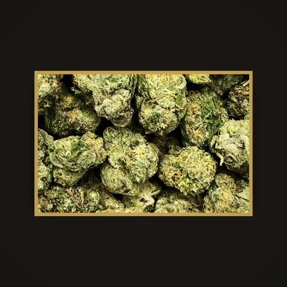 Pheno Hunt THC flower (hemp THCA), indoor, framed in brass