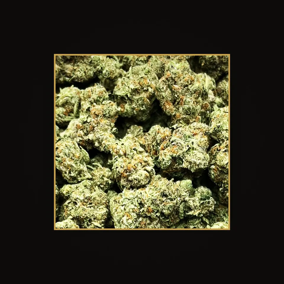 Pineapple Express THC flower (hemp THCA), indoor, spotlit on black