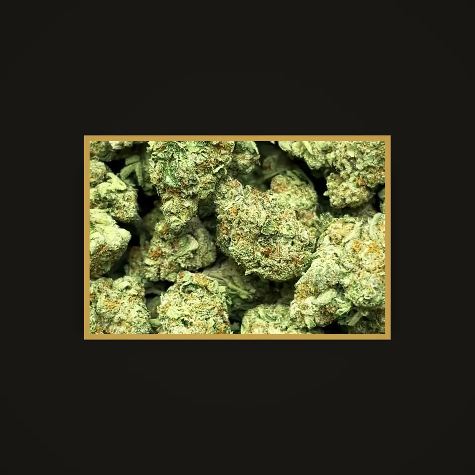 Pineapple Express THC flower (hemp THCA), indoor, framed in brass
