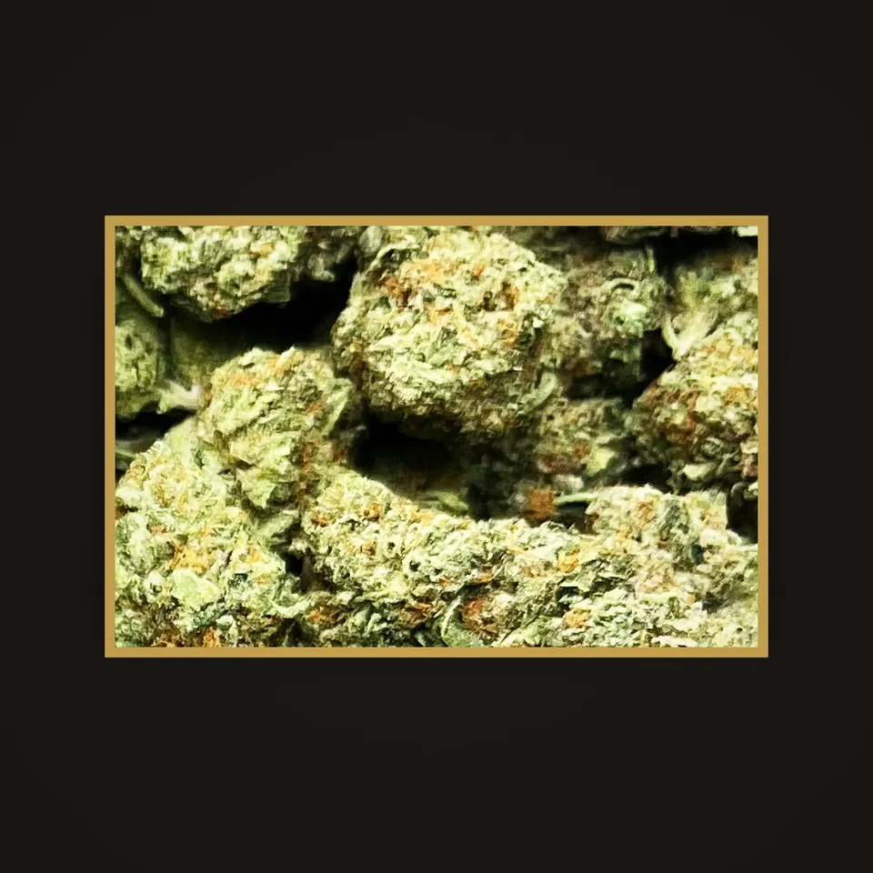Pineapple Supreme THC flower (hemp THCA), indoor, framed in brass