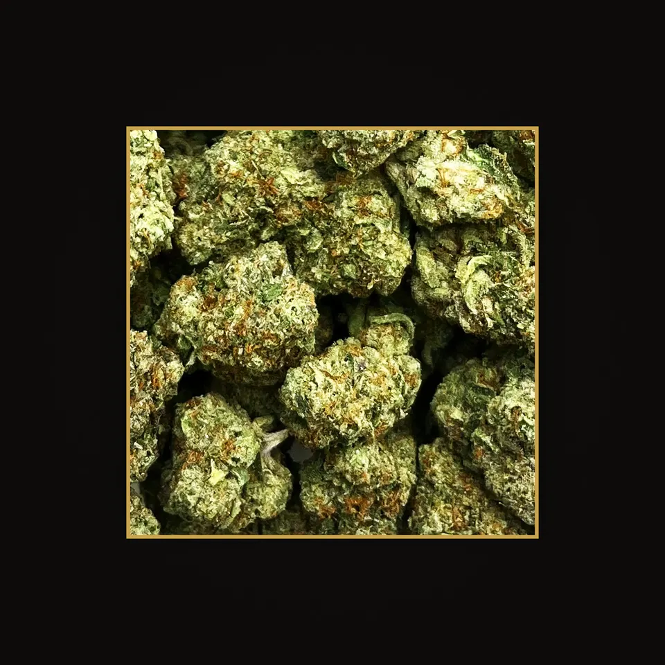 Pineapple Supreme THC flower (hemp THCA), indoor, spotlit on black