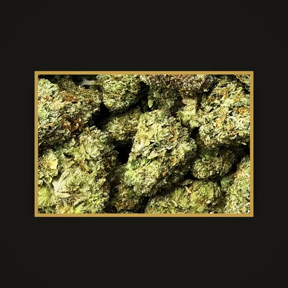 Pink Runtz THC flower (hemp THCA), indoor, framed in brass