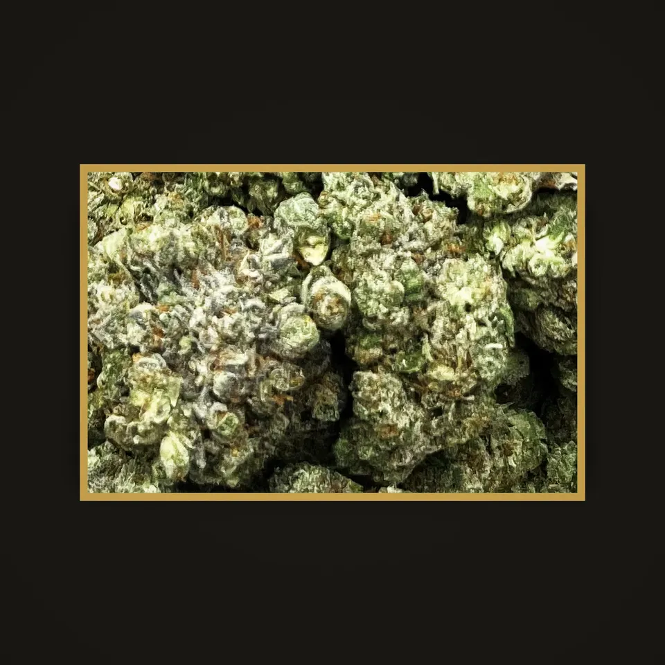 Platinum Lemon Gelato THC flower (hemp THCA), indoor, framed in brass