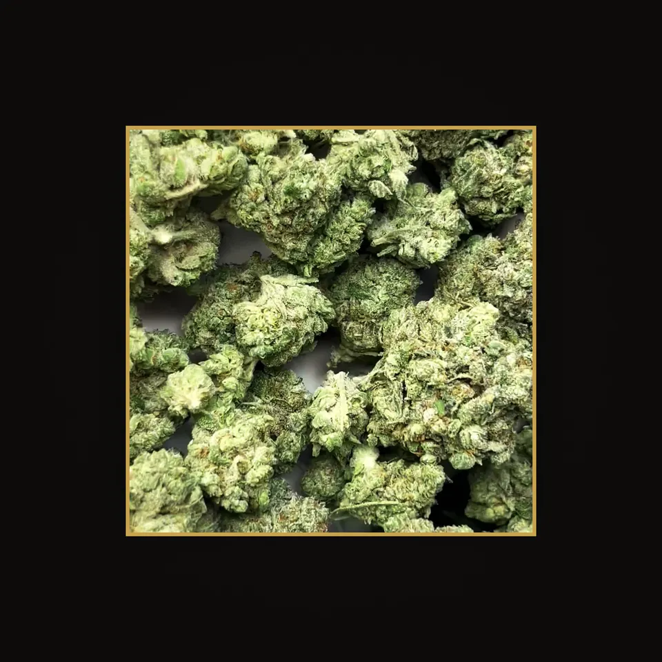 Platinum Lemon Gelato THC flower (hemp THCA), indoor, spotlit on black