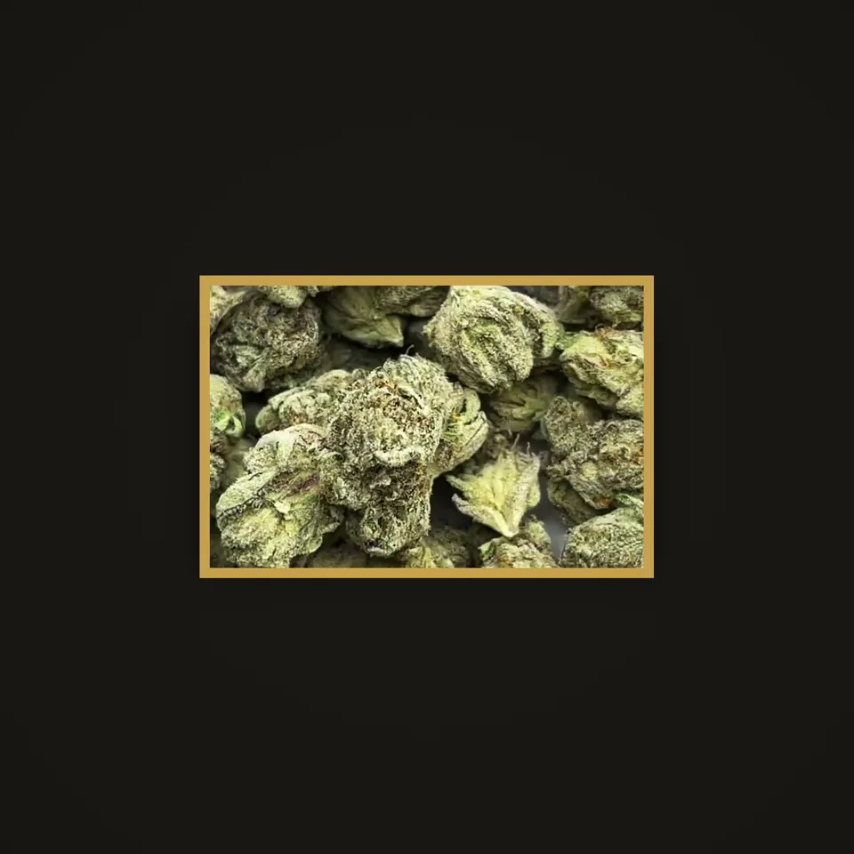 Skittlez THC flower (hemp THCA), indoor, framed in brass