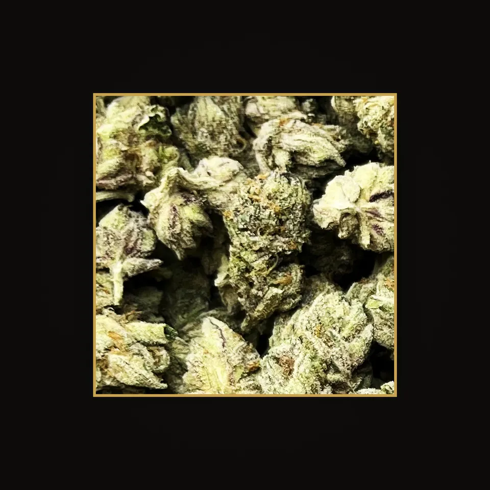 Skittlez THC flower (hemp THCA), indoor, spotlit on black