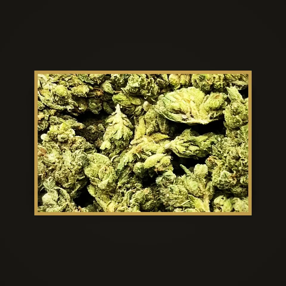 Sour Diesel Mix THC flower (hemp THCA), indoor, framed in brass