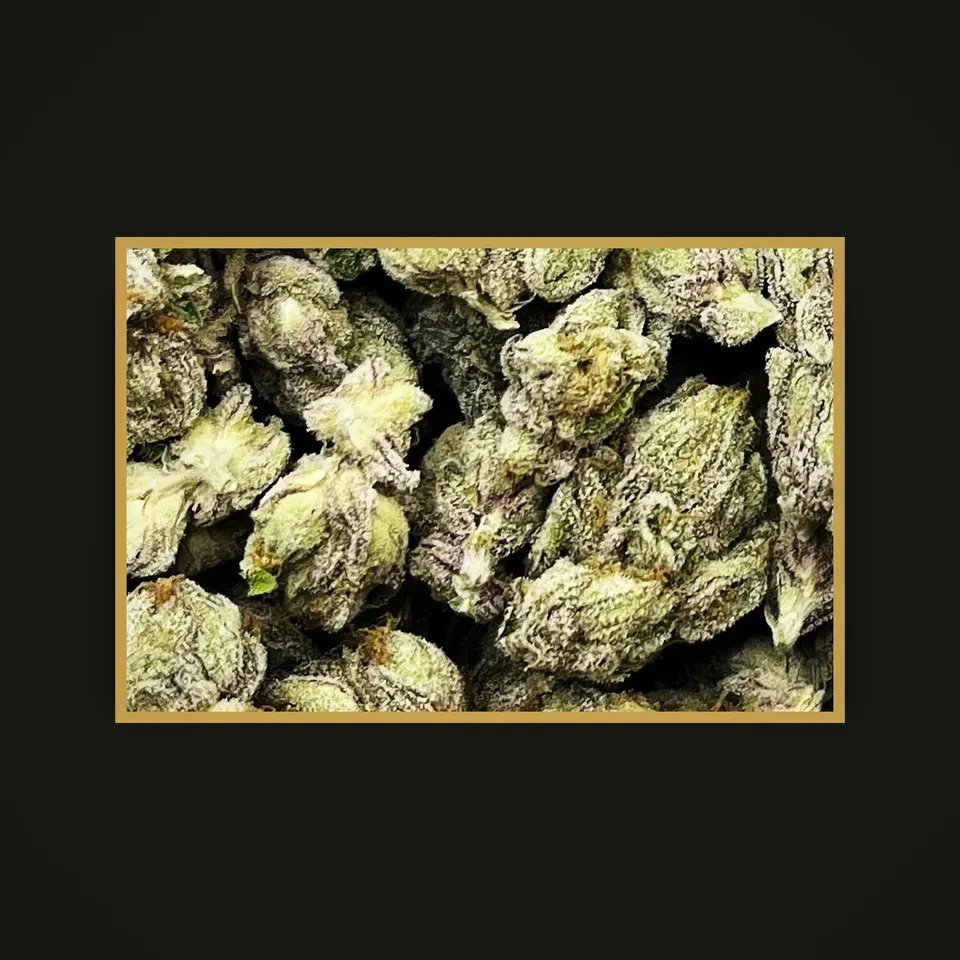 Zoda THC flower (hemp THCA), indoor, framed in brass