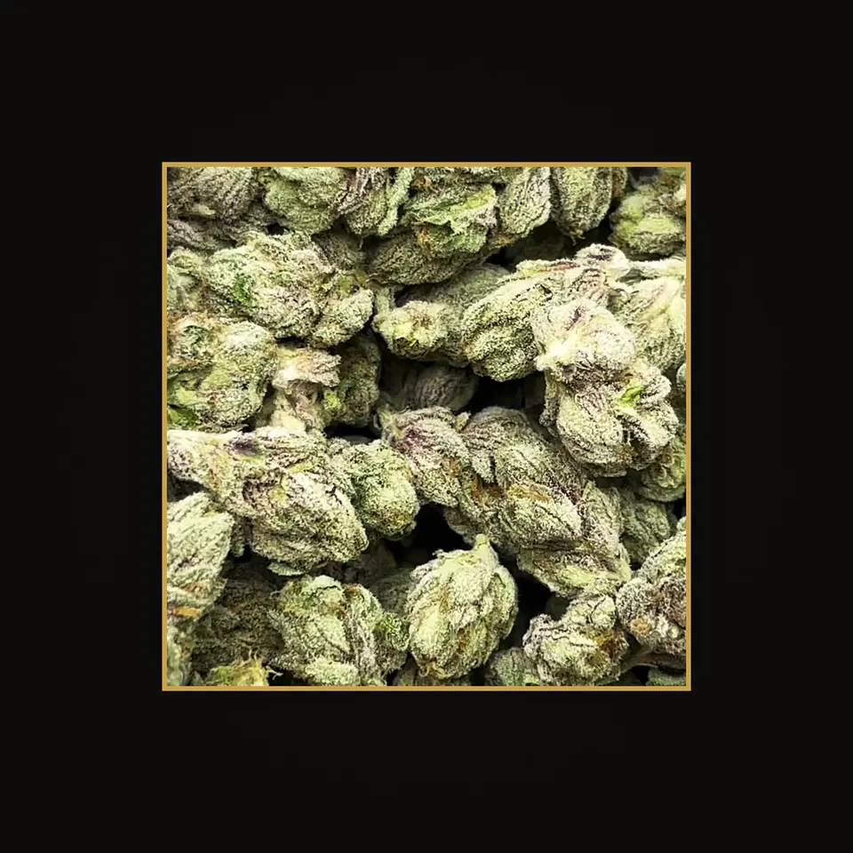 Zoda THC flower (hemp THCA), indoor, spotlit on black